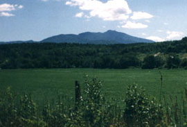 Green Mountains, Vermont (JPEG 18,561 bytes)