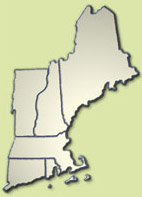 New England Outdoors logo (JPEG 13,958 bytes)